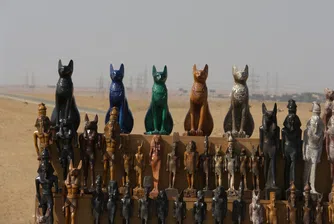 Защо древните египтяни са почитали котките като свещени животни?