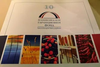 НГФ е издал банкови гаранции на над 8000 компании за 10 години