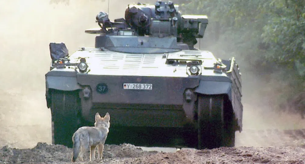 Вълците се завръщат в германските гори с подкрепата на армията