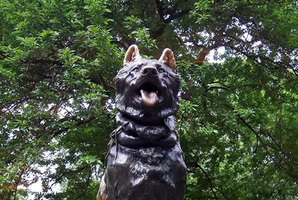 Забележителни паметници на кучета по света