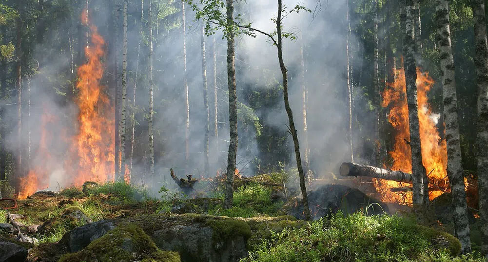 Бедствено положение в община Свиленград заради голям пожар