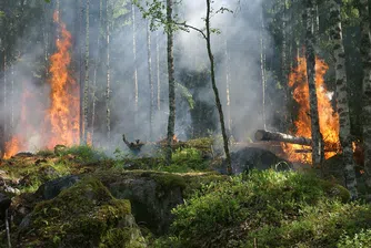 Бедствено положение в община Свиленград заради голям пожар