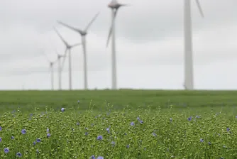 Знаете ли колко вятърни турбини има по света?