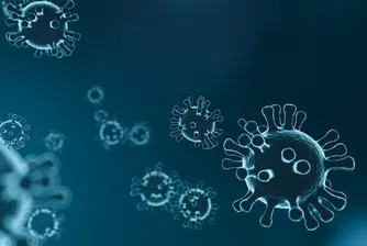 Как да печелим по време на кризата с коронавирусa?