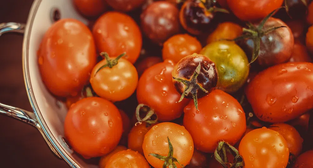 10 симптома на непоносимост към доматите