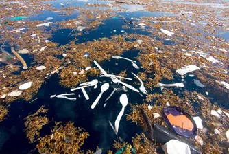 Карибско море е задушено до смърт от отпадъци