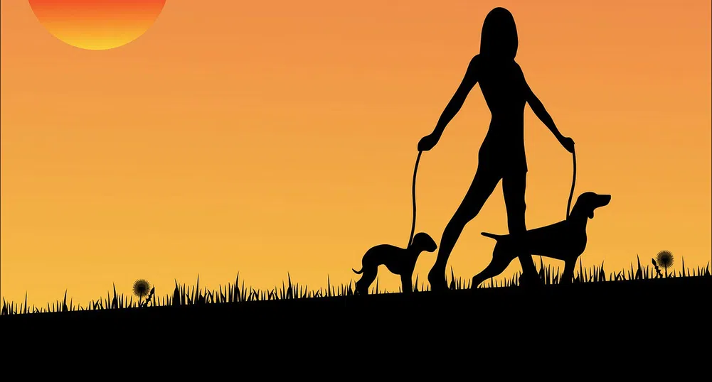 Американка се пенсионира с 1 милион долара от разходки на кучета