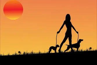 Американка се пенсионира с 1 милион долара от разходки на кучета
