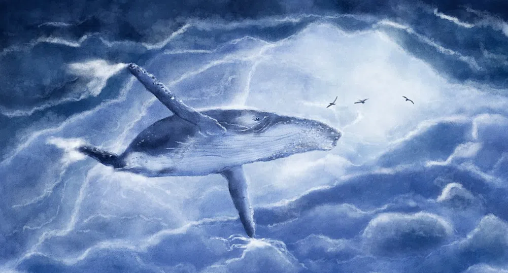 Невероятни кадри: 45-тонен кит целува туристи на лодка в океана (видео)