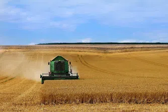 Търсенето на пшеница на Софийската стокова борса остава високо