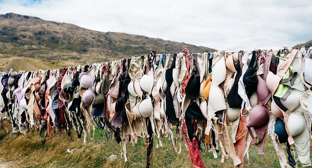 Ограда от сутиени и други странни новозеландски атракции