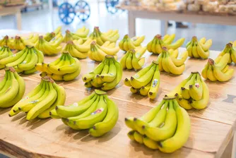 Как войната в Украйна съсипа банановата индустрия на Еквадор?