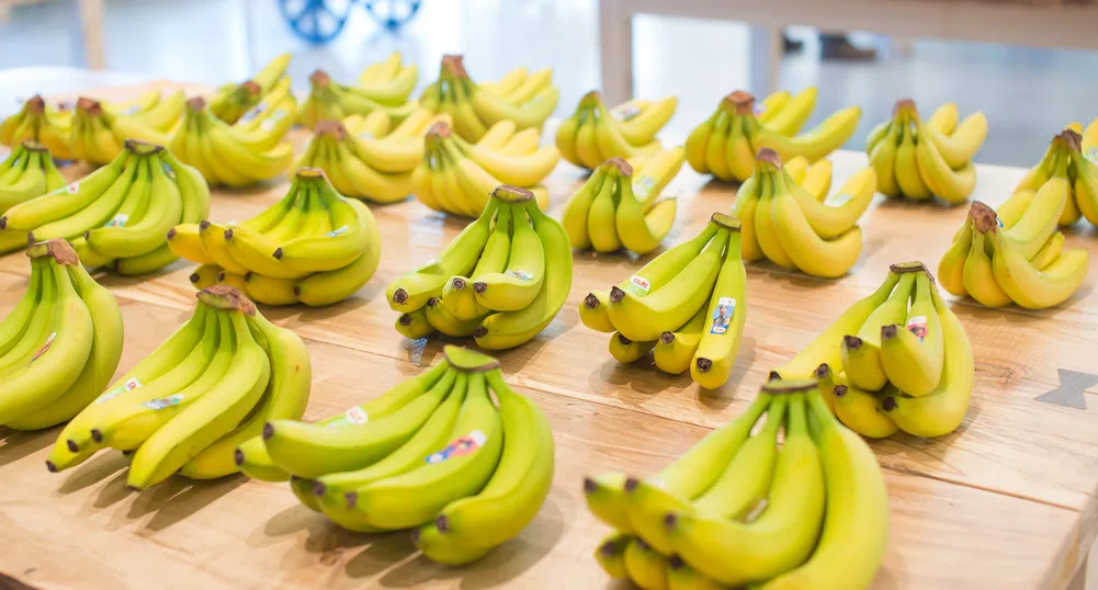 Как войната в Украйна съсипа банановата индустрия на Еквадор?