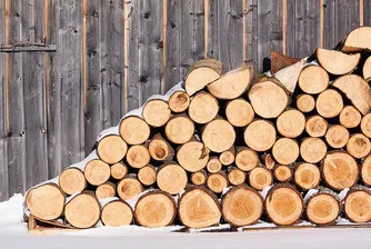 Презапасяване и наплив на поръчки бавят доставките на дърва за огрев