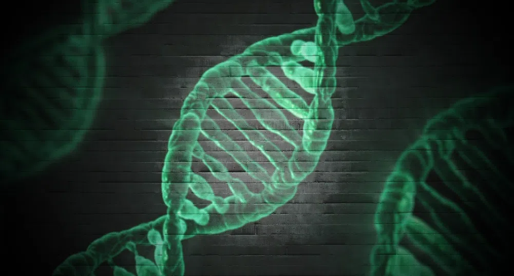 Американски учени разработват инструмент за "ремонт" на ДНК
