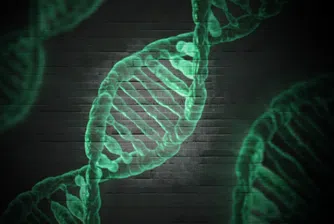 Американски учени разработват инструмент за "ремонт" на ДНК