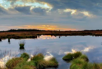 ЕК ни дава на съд за неспазване на правилата за Натура 2000