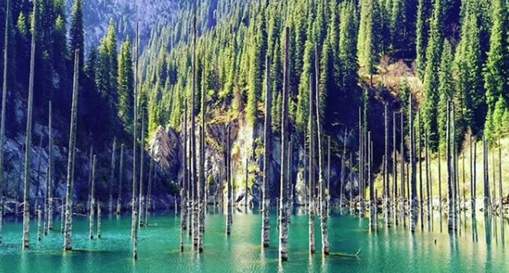 Най-невероятното езеро в света крие потънала гора във водите си