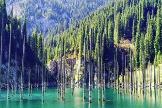 Най-невероятното езеро в света крие потънала гора във водите си