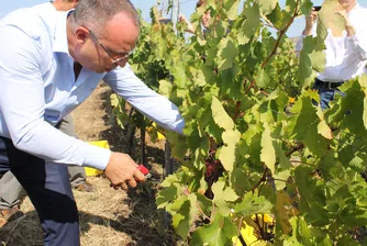 Вижте колко винарски изби има в България