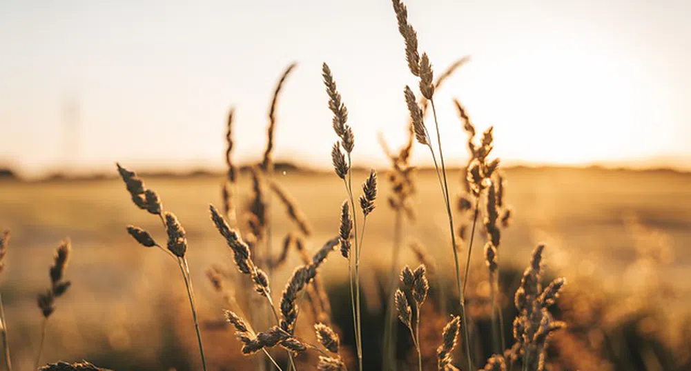 Русия, Турция, Украйна и ООН подписaха споразумение за износ на зърното