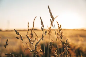 Русия, Турция, Украйна и ООН подписaха споразумение за износ на зърното