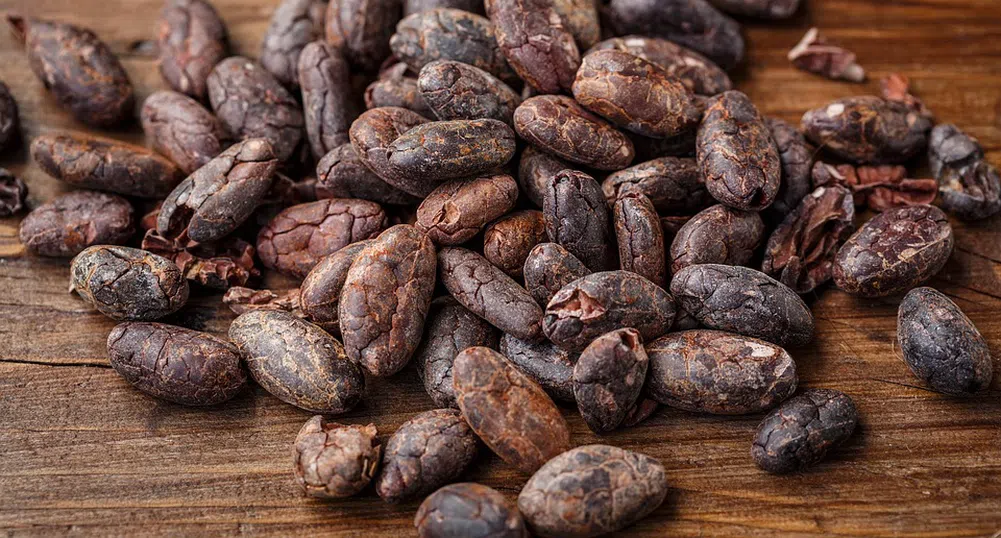 Натуралното какао е супер храна за мозъка