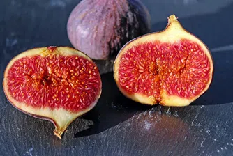 13 любопитни факта за смокините