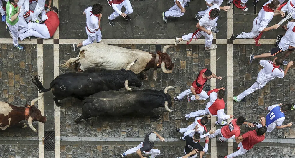 Испанците възстановиха надбягането с бикове в Памплона