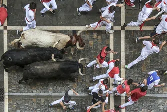 Испанците възстановиха надбягането с бикове в Памплона