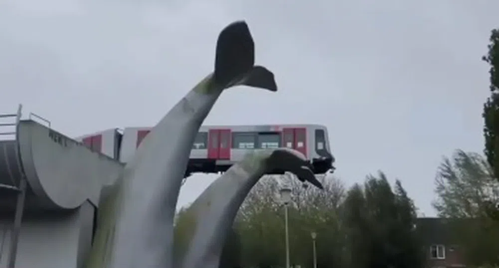 Как опашка на кит успя да спаси от падане влак на метрото? (снимки)