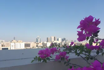 Басейн на покрива, или удивително приключение под звездите