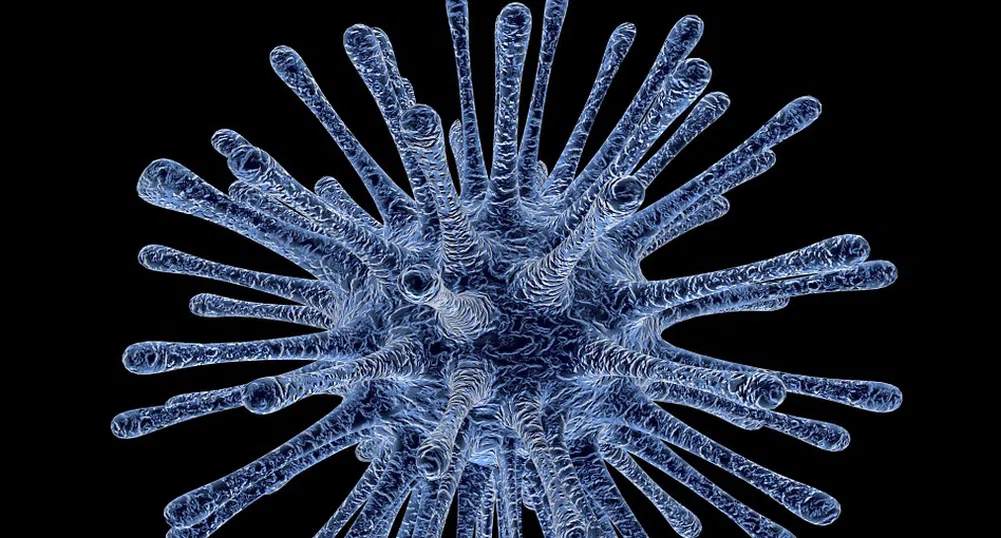 Какво е коронавирусът и колко да се притесняваме?