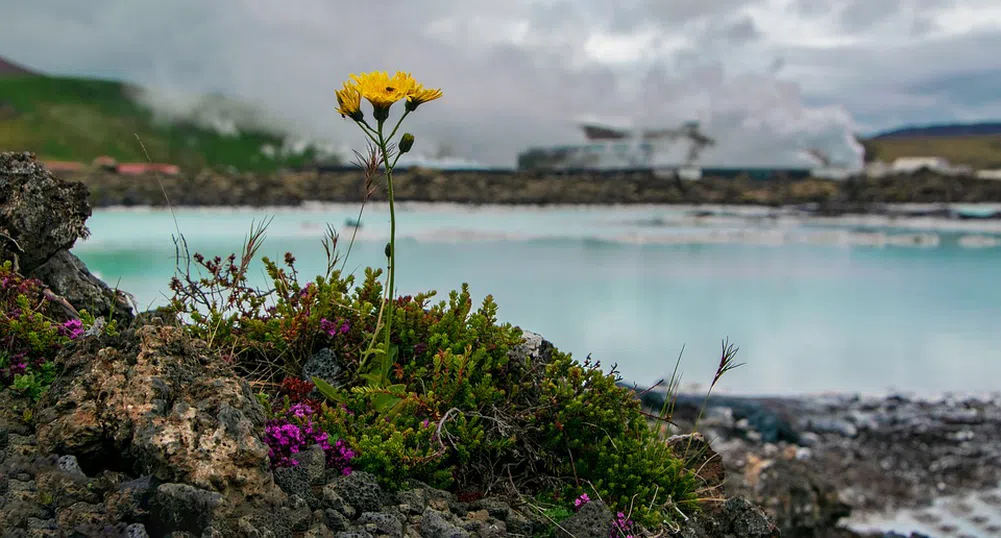 Новата геотермална лагуна на Исландия е наистина уникална