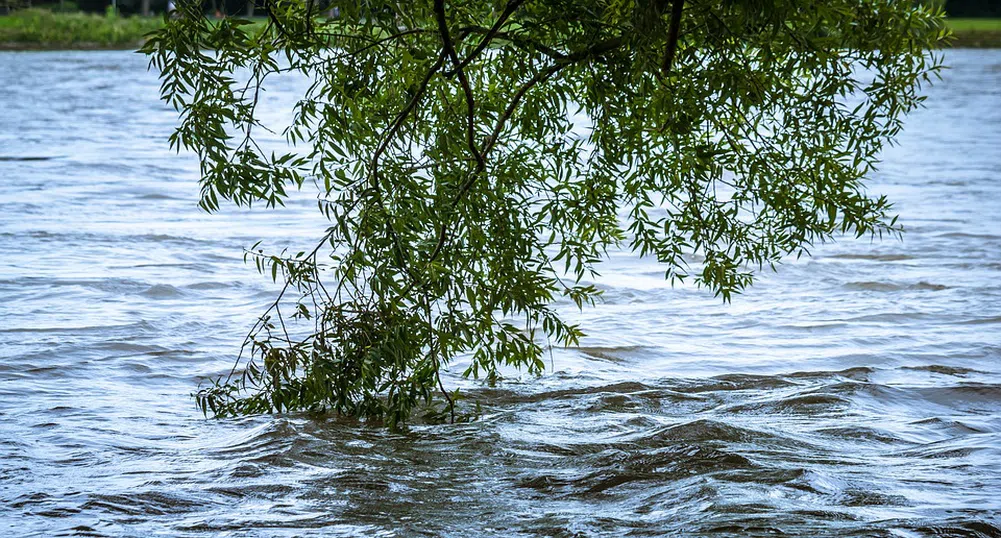 До метър вода и три жертви в Бургаско