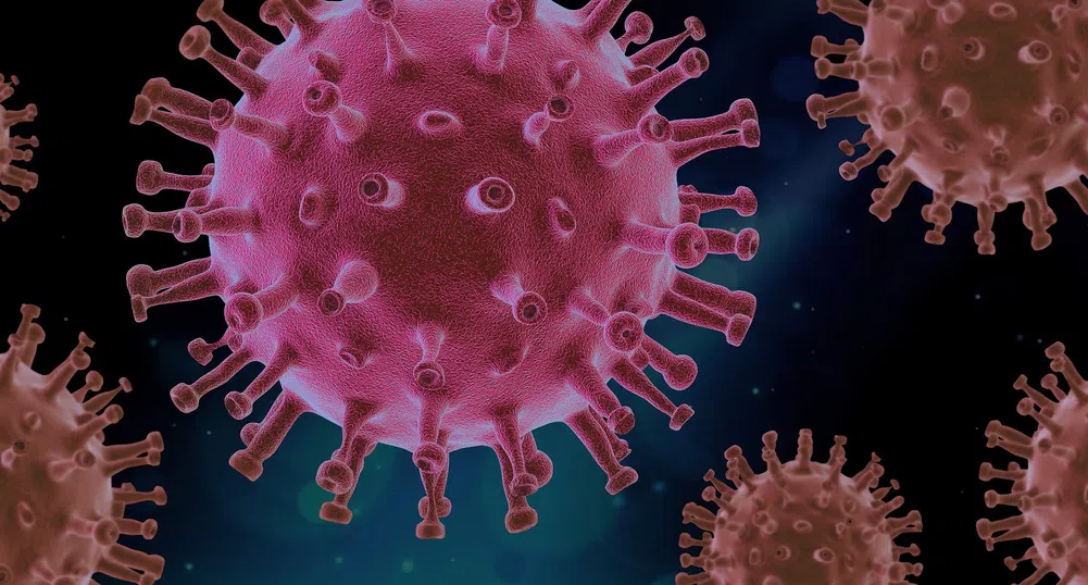 СЗО: COVID-19 е 10 пъти по смъртоносен от свинския грип