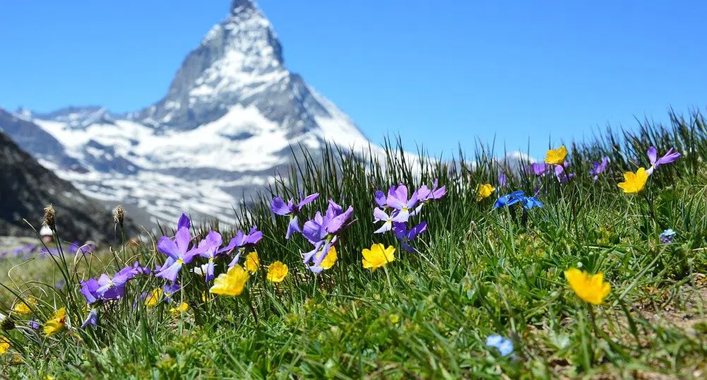 Медия открадна видео от швейцарските Алпи и го обяви за планина в Китай