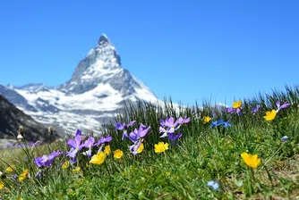 Медия открадна видео от швейцарските Алпи и го обяви за планина в Китай