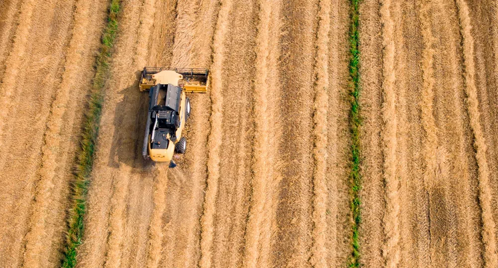 Как зърнопроизводителите от Източна Европа попаднаха в перфектната буря