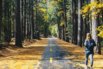 Как с разходка да замените тренировката?