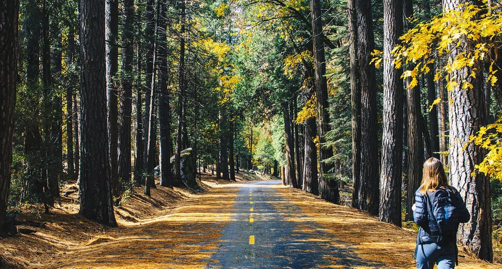 Как с разходка да замените тренировката?