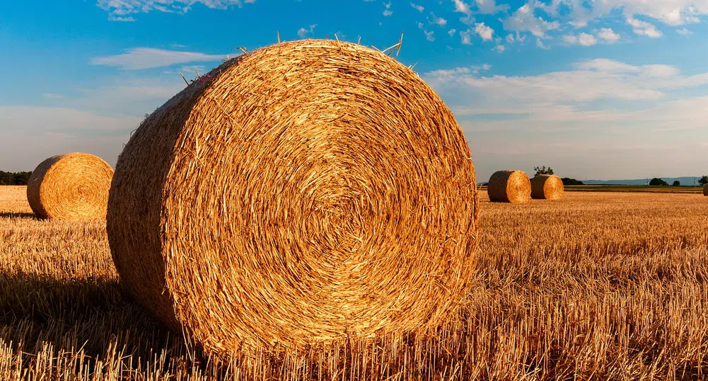 Какво да правите през лятото, ако мразите жегата