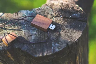 Учените откриха USB с ваканционни снимки в изпражнения на тюлен