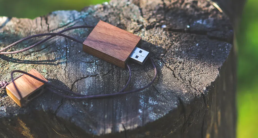 Учените откриха USB с ваканционни снимки в изпражнения на тюлен