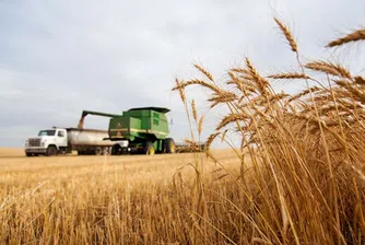 Русия излиза от сделката за износ на украинско зърно през Черно море