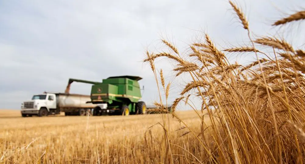 Русия излиза от сделката за износ на украинско зърно през Черно море
