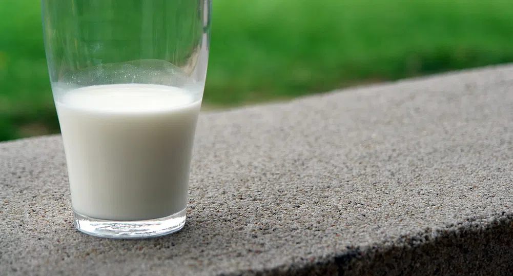 С колко ще поскъпнат млечните продукти заради цената на тока?