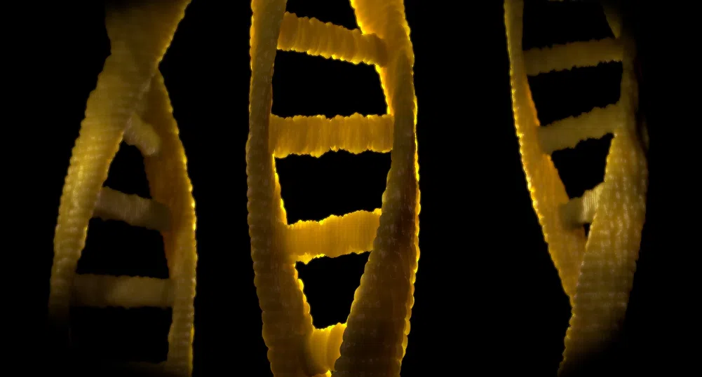 Откриха човешка ДНК в дъвка на 10 000 години
