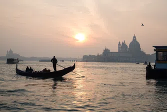 Медузи в каналите на Венеция (видео)