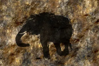 Археолози откриха графити на 700 години в крепостта Русокастро